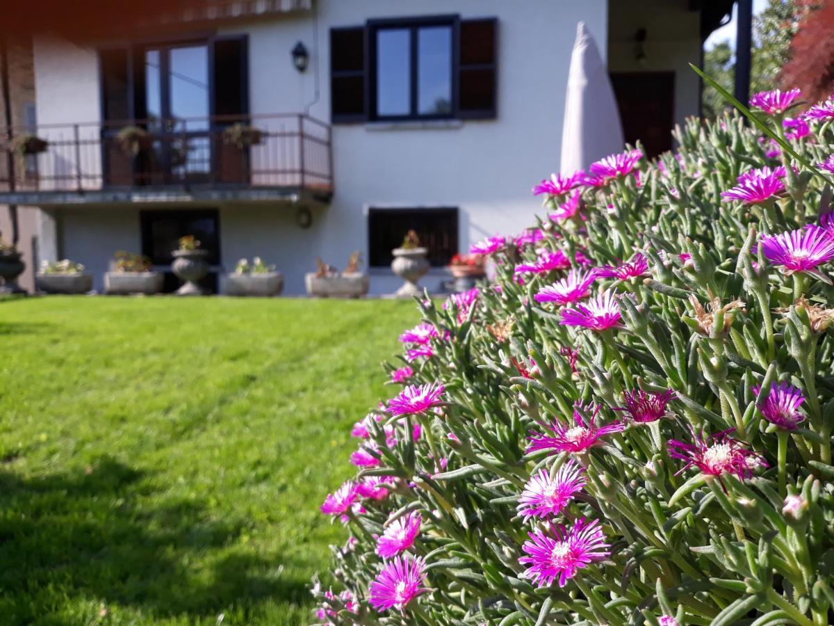 Villa Giardino Дервио Екстериор снимка